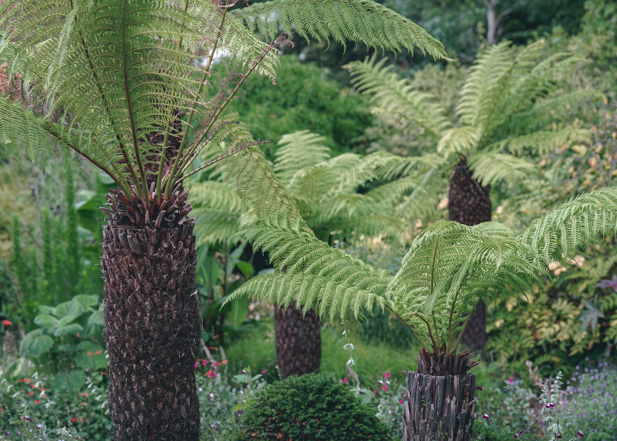 Celebrating RHS Chelsea Flower Show with Our Most Beautiful Botanical Scents