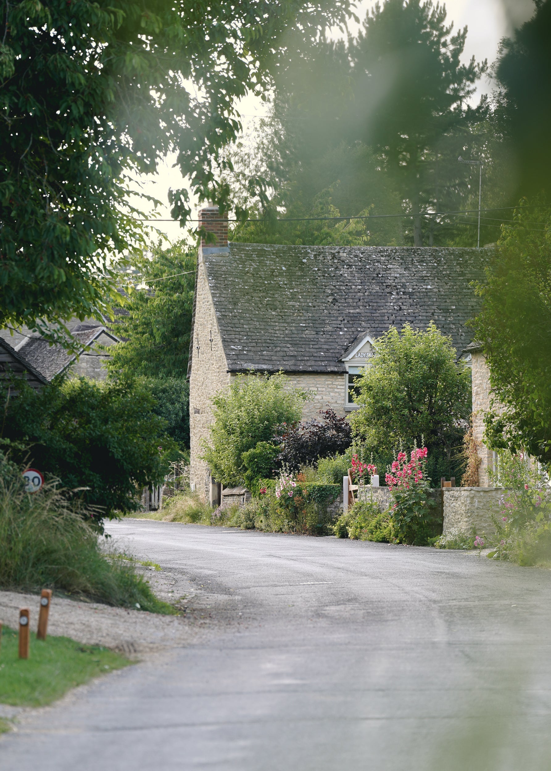 Spring Equinox: Nature’s New Year & A Time for Renewal