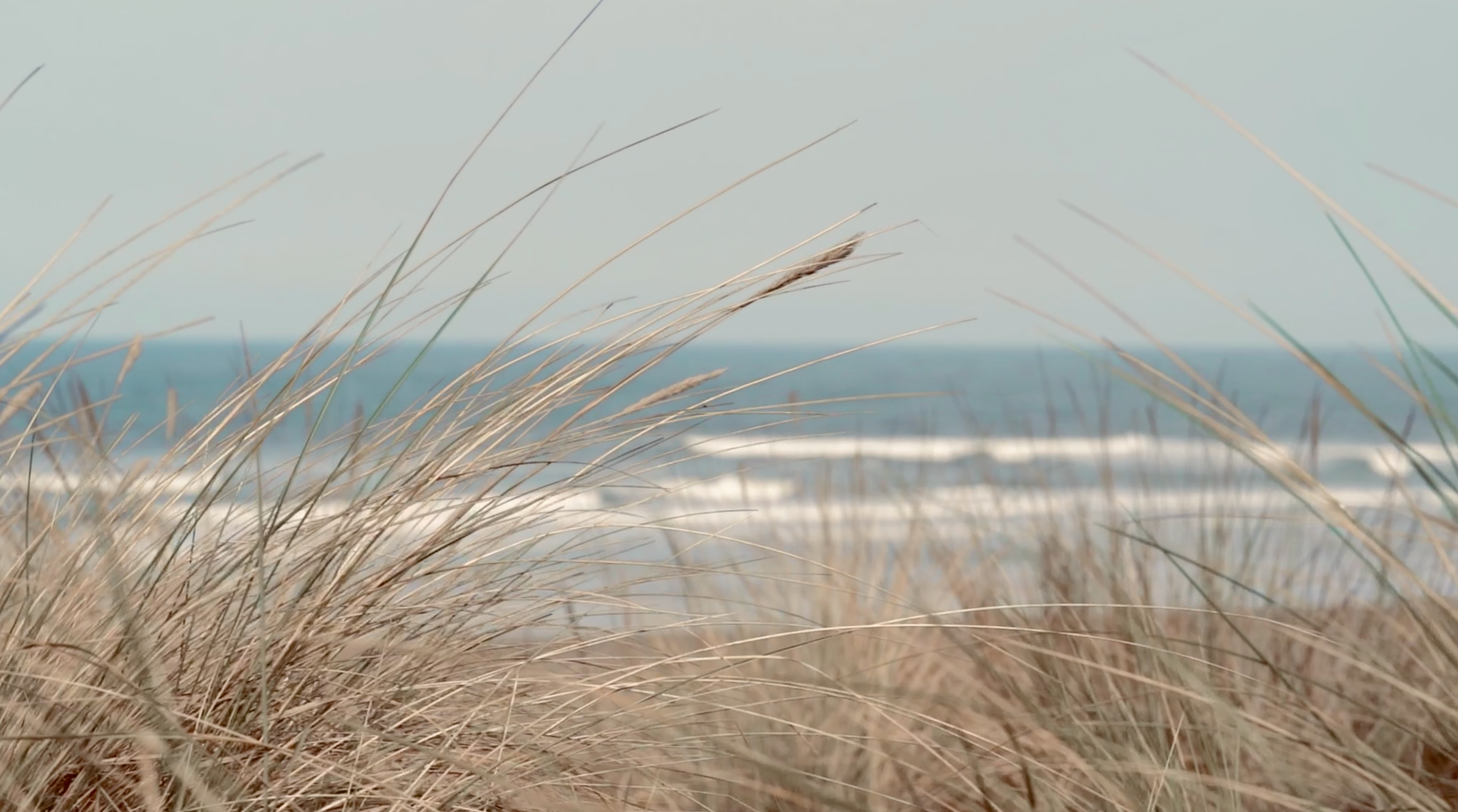 Introducing SEA SALT
