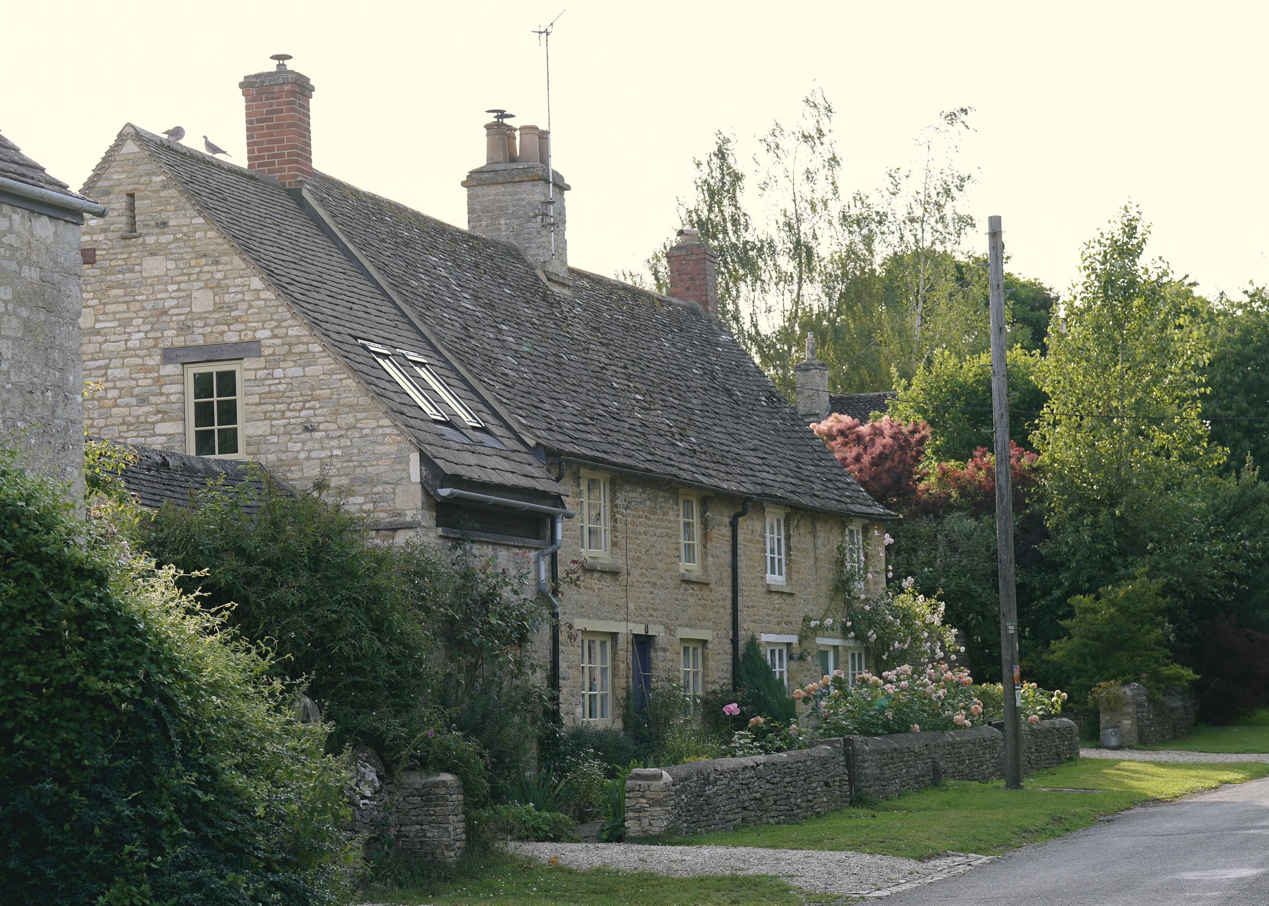 Thoughtful Ways to Celebrate Mother’s Day: A Nature-Inspired Guide