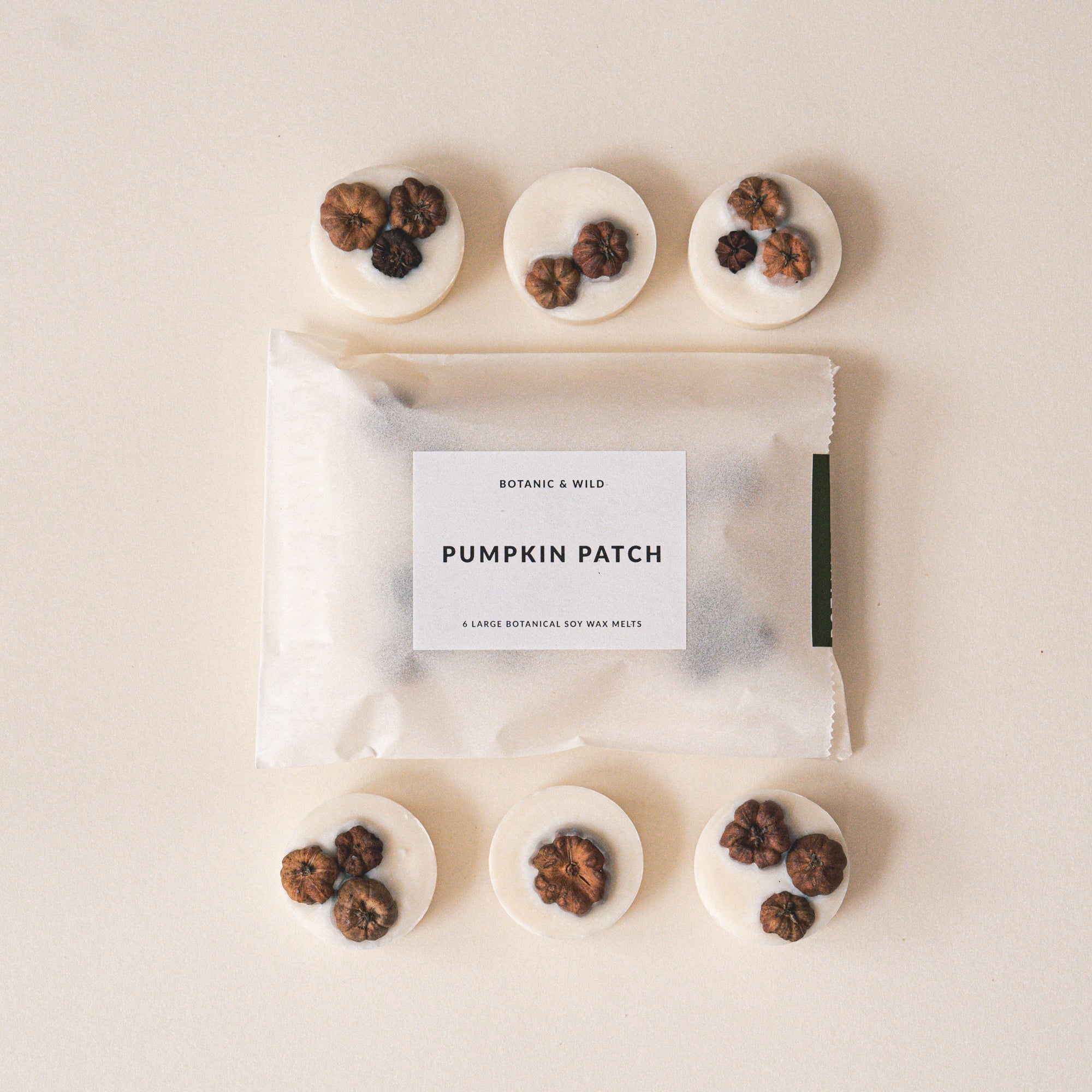 PUMPKIN PATCH Botanical Soy Wax Melts