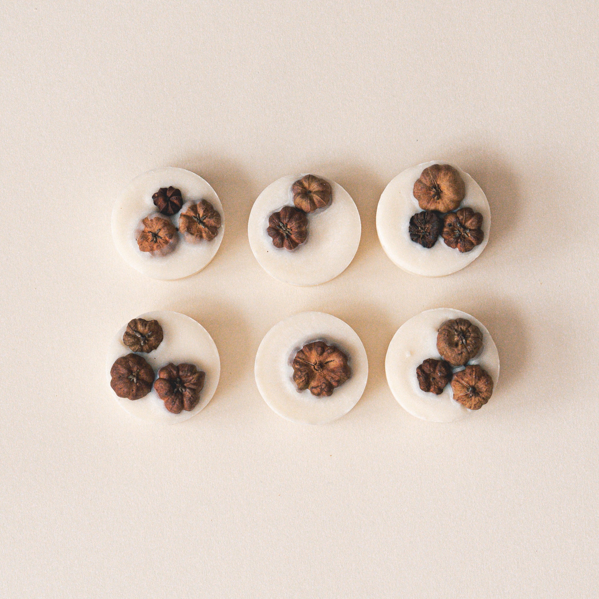 PUMPKIN PATCH Botanical Soy Wax Melts