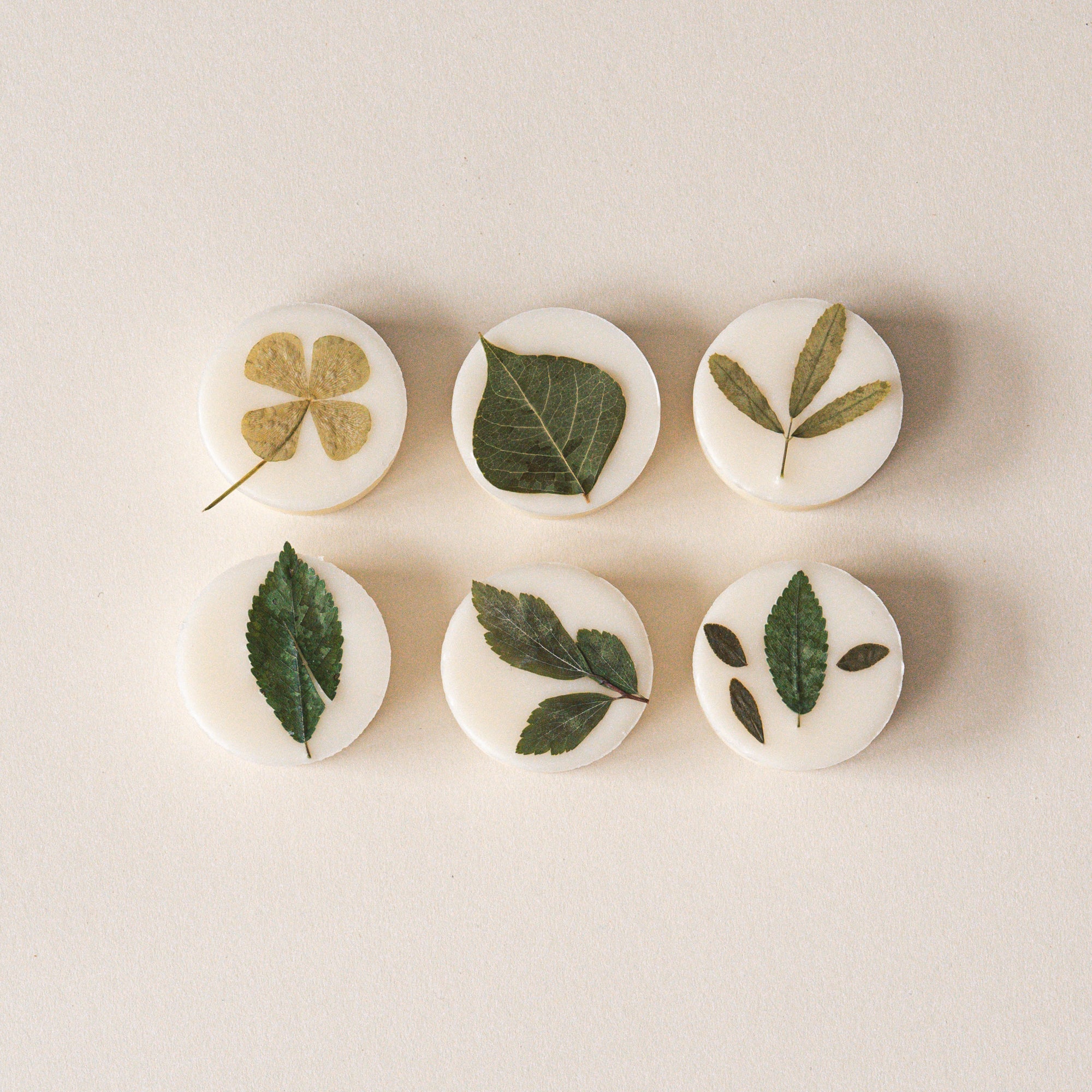 BOTANICAL GARDEN Botanical Soy Wax Melts