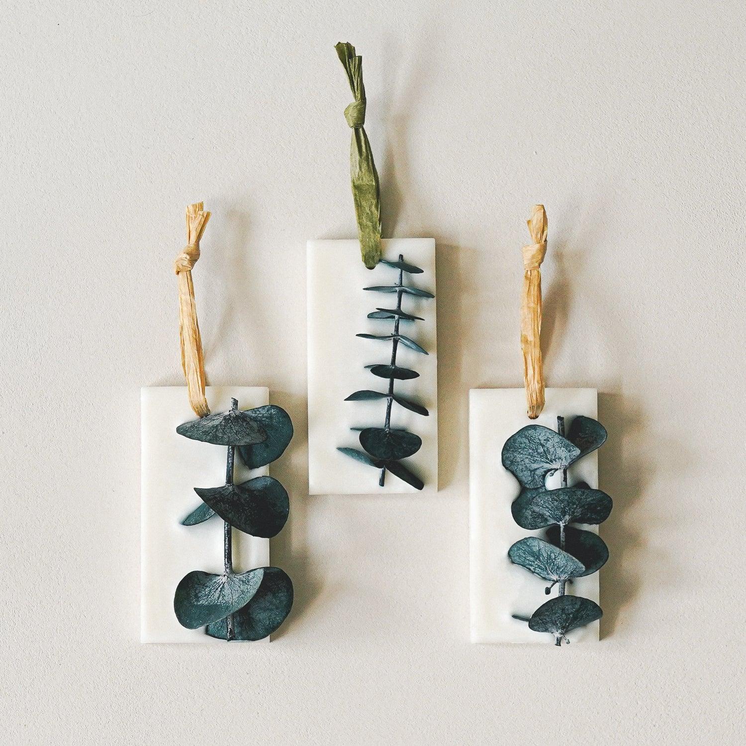 AWAKEN Hanging Botanical Wax Sachets - Botanic & Wild