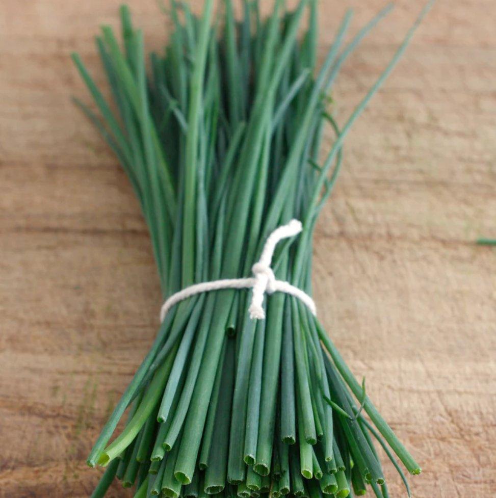 Chives Fine Leaf Seeds - Botanic & Wild