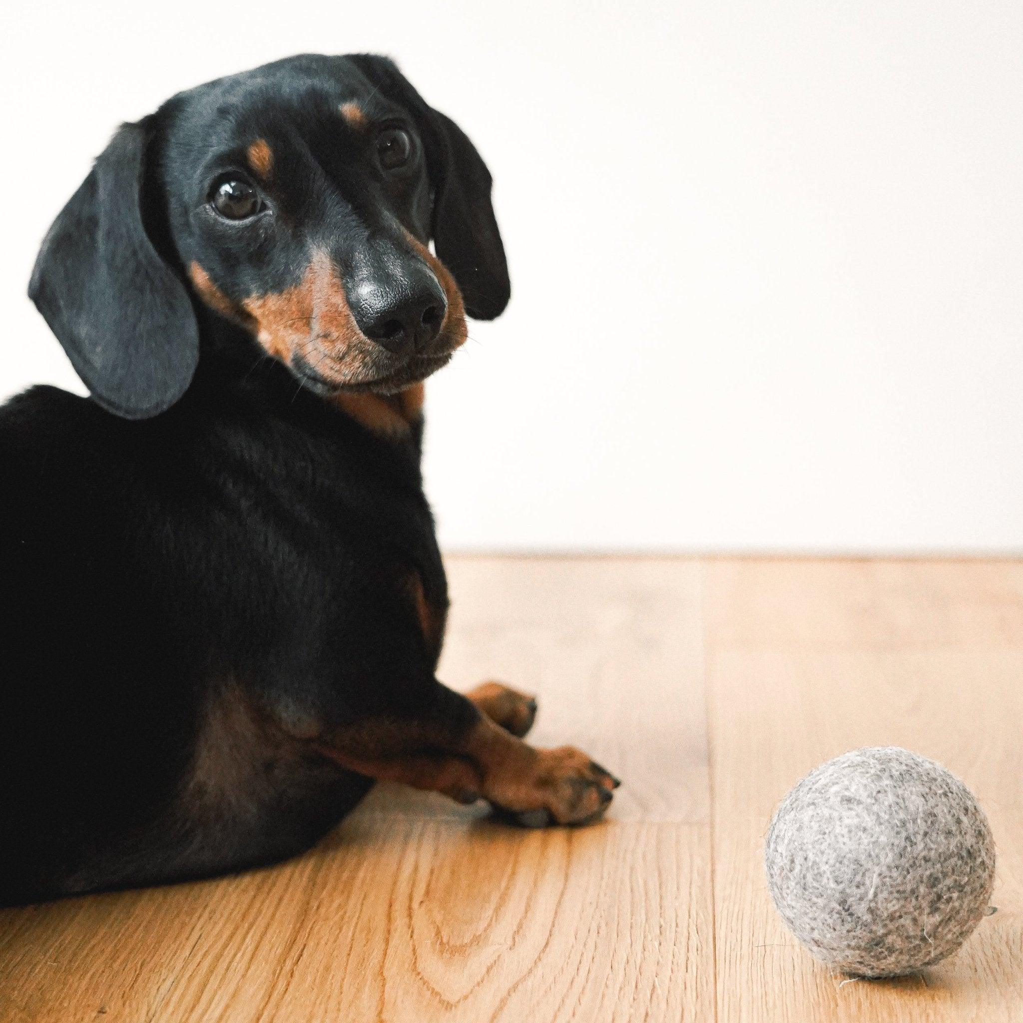 Natural Wool Balls Dog Toy - Botanic & Wild