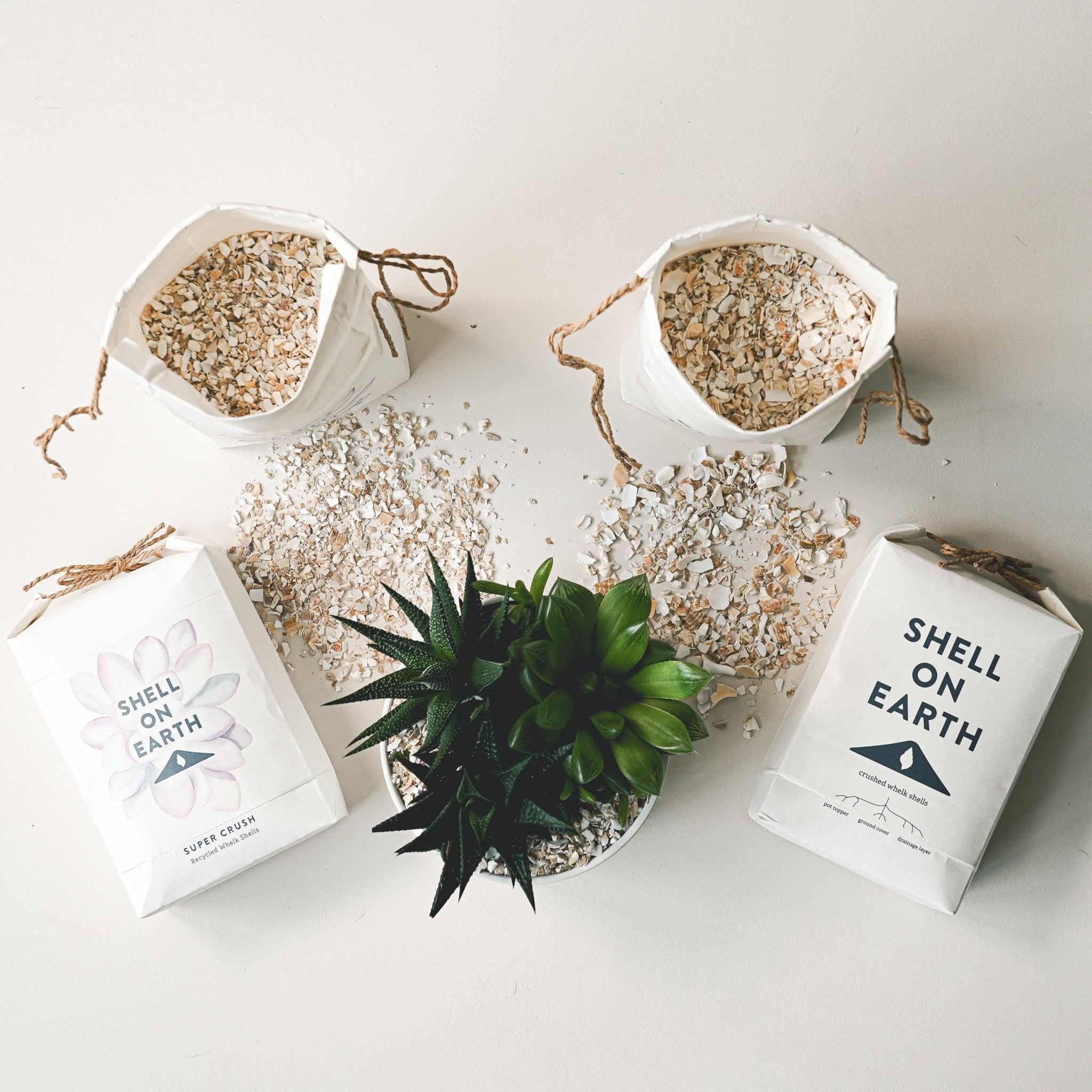 Super Crush Crushed Whelk Shells - Botanic & Wild