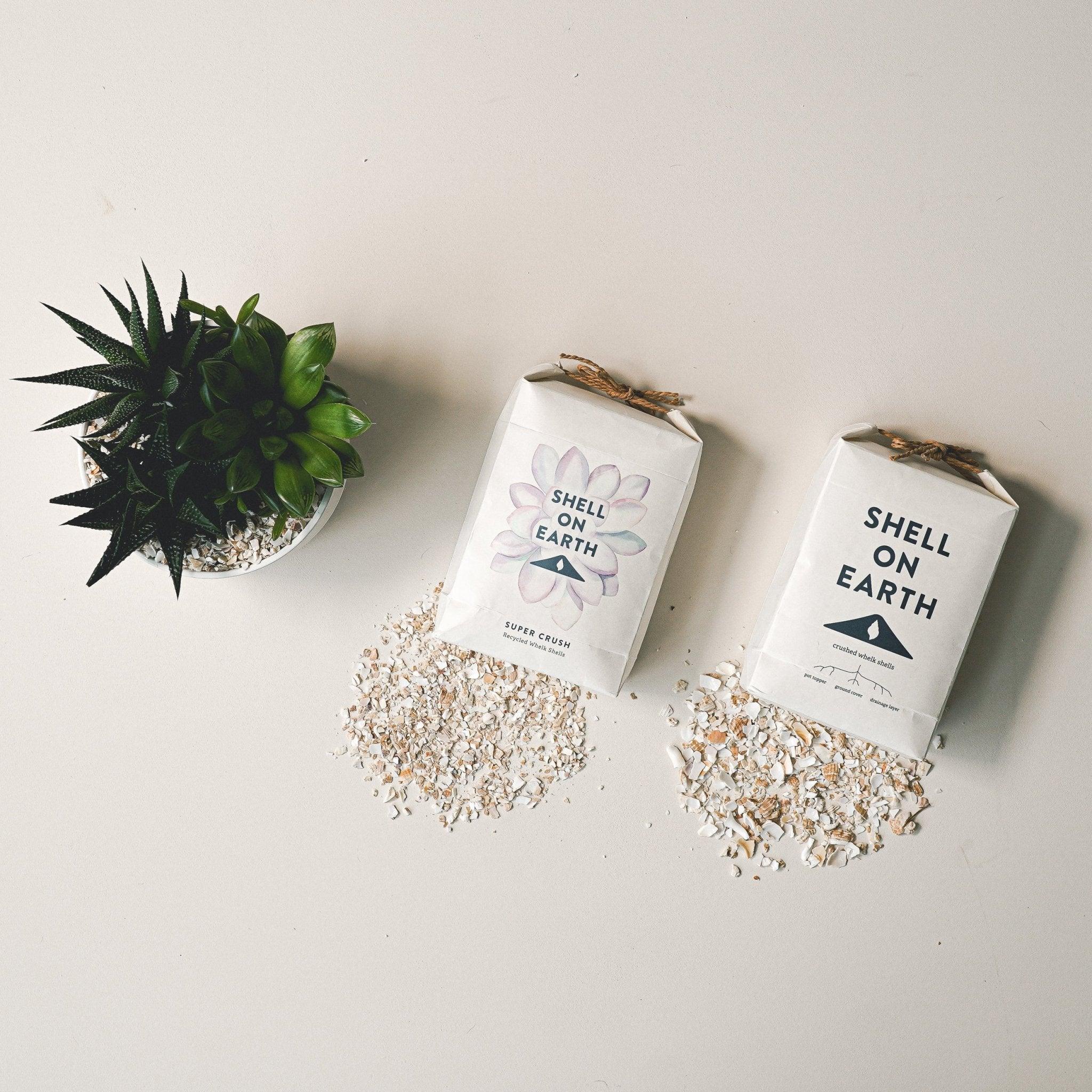 Super Crush Crushed Whelk Shells - Botanic & Wild