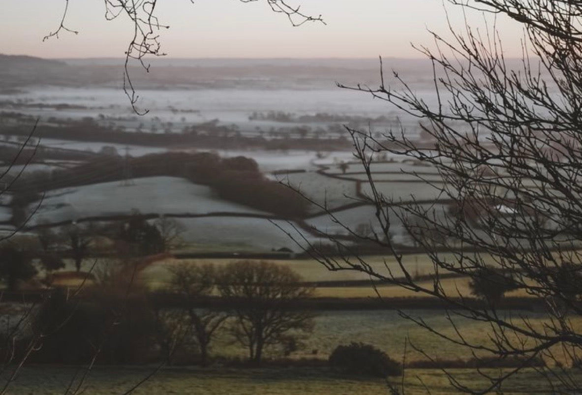 Embracing Winter: How to Slow Down, Find Joy, and Live in Tune With the Season