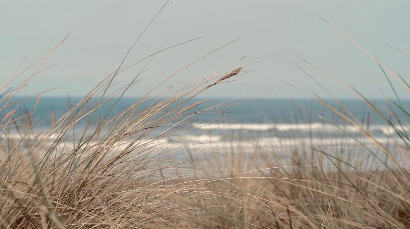 Sea Salt: The Scent That Makes Summer Feel Effortlessly Cool