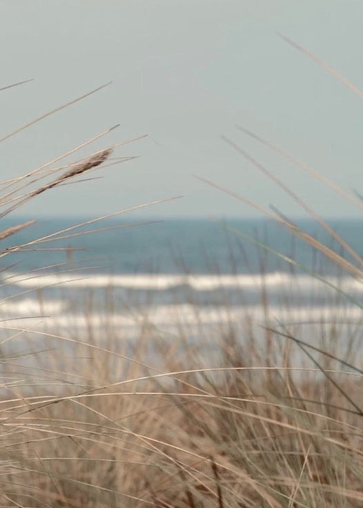 Beach grass in the foreground with the ocean and waves blurred in the background under a pale sky.